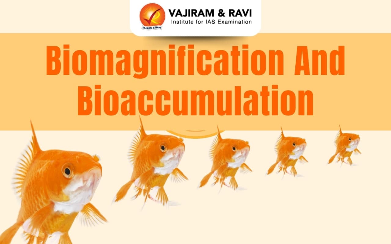 Biomagnification and Bioaccumulation