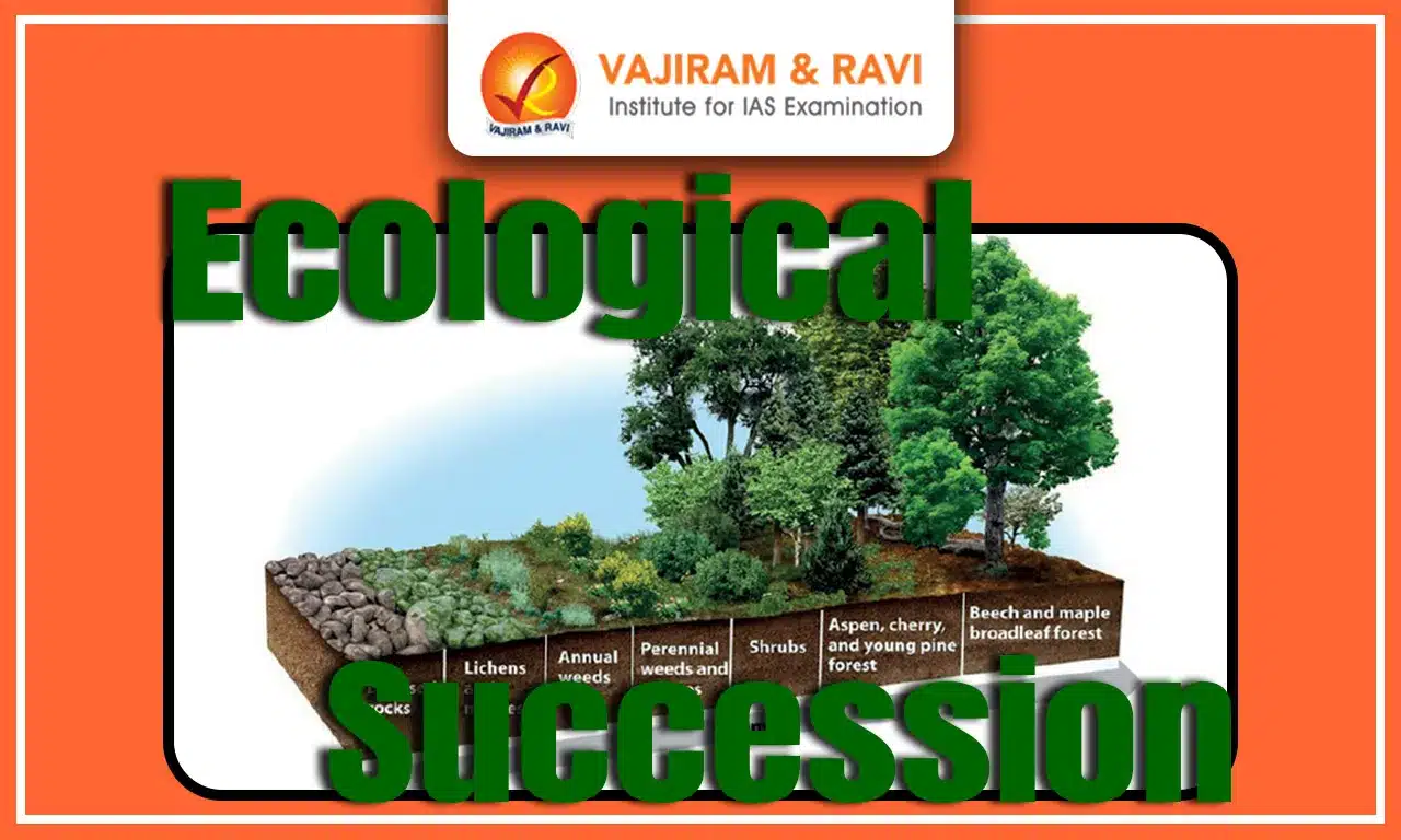 Ecological Succession
