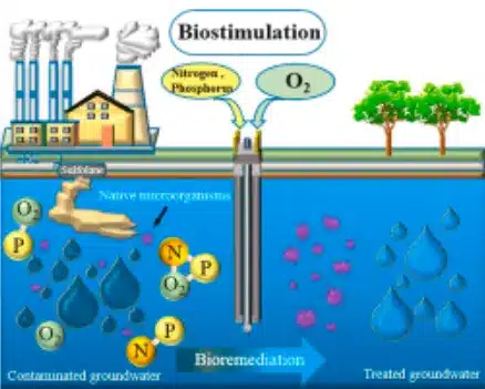 Biostimulation
