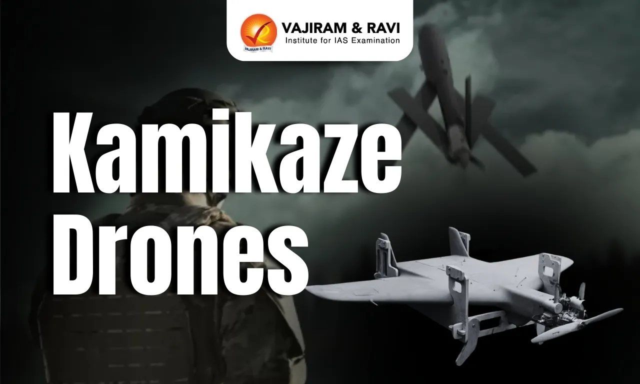 Kamikaze Drones