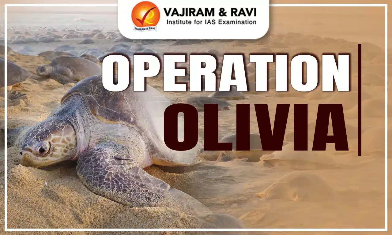 Operation Olivia