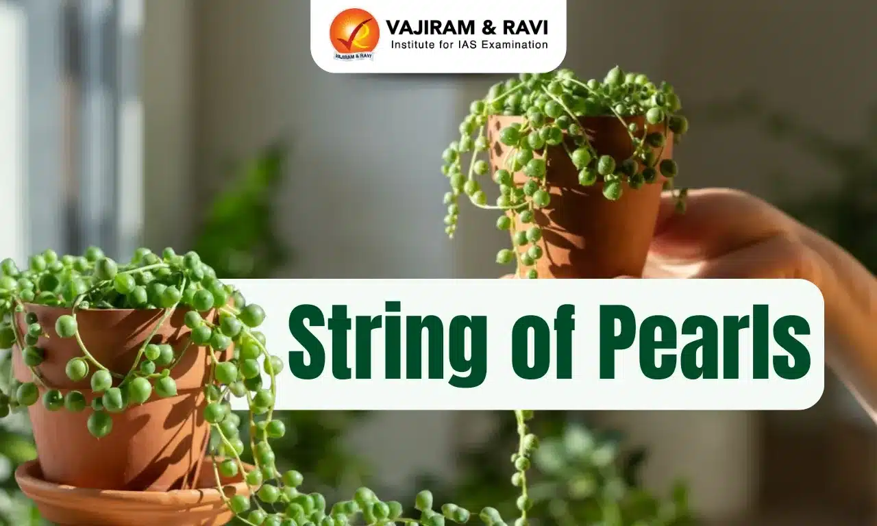 String of Pearls