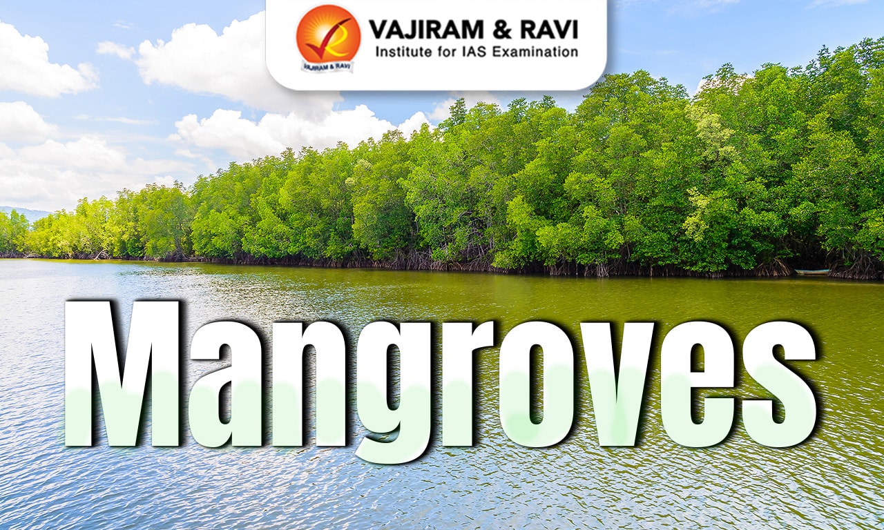 Mangroves