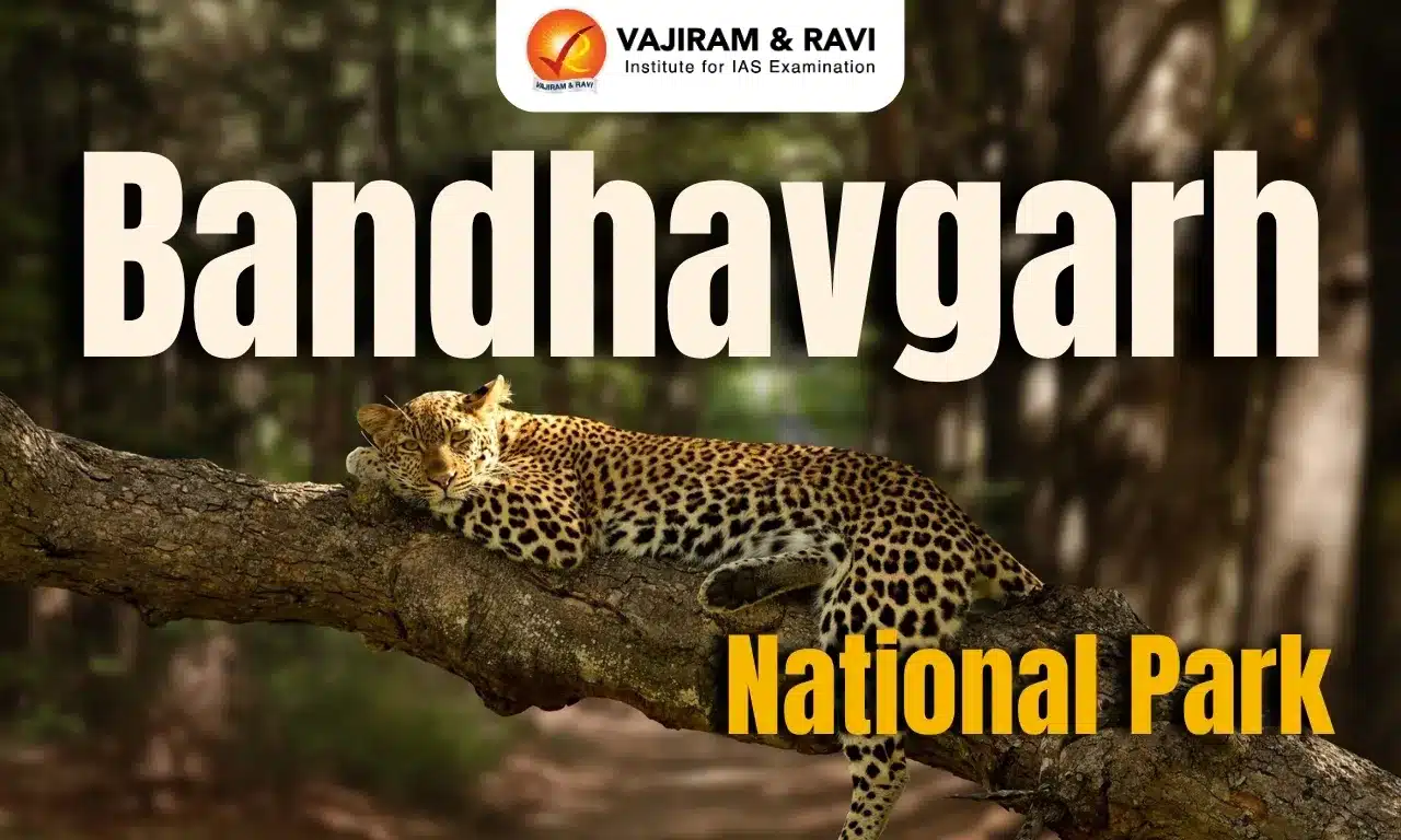 Bandhavgarh National Park