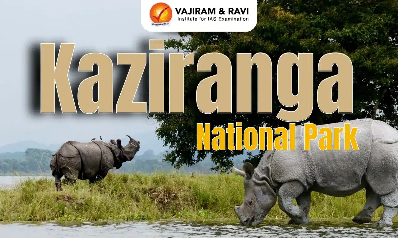 Kaziranga National Park