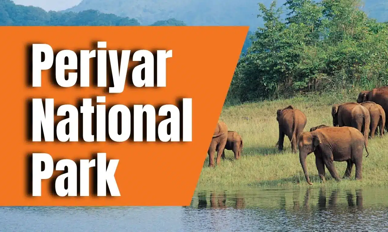 Periyar National Park
