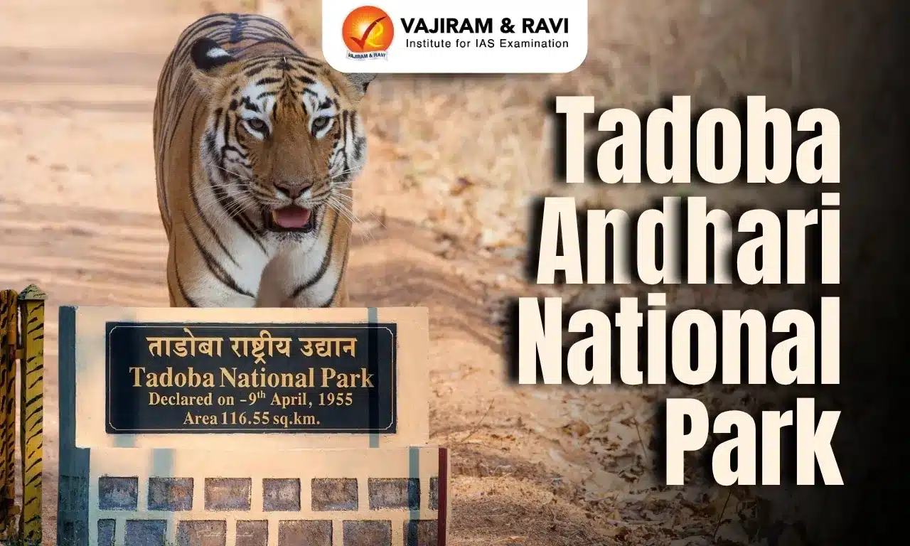 Tadoba Andhari National Park