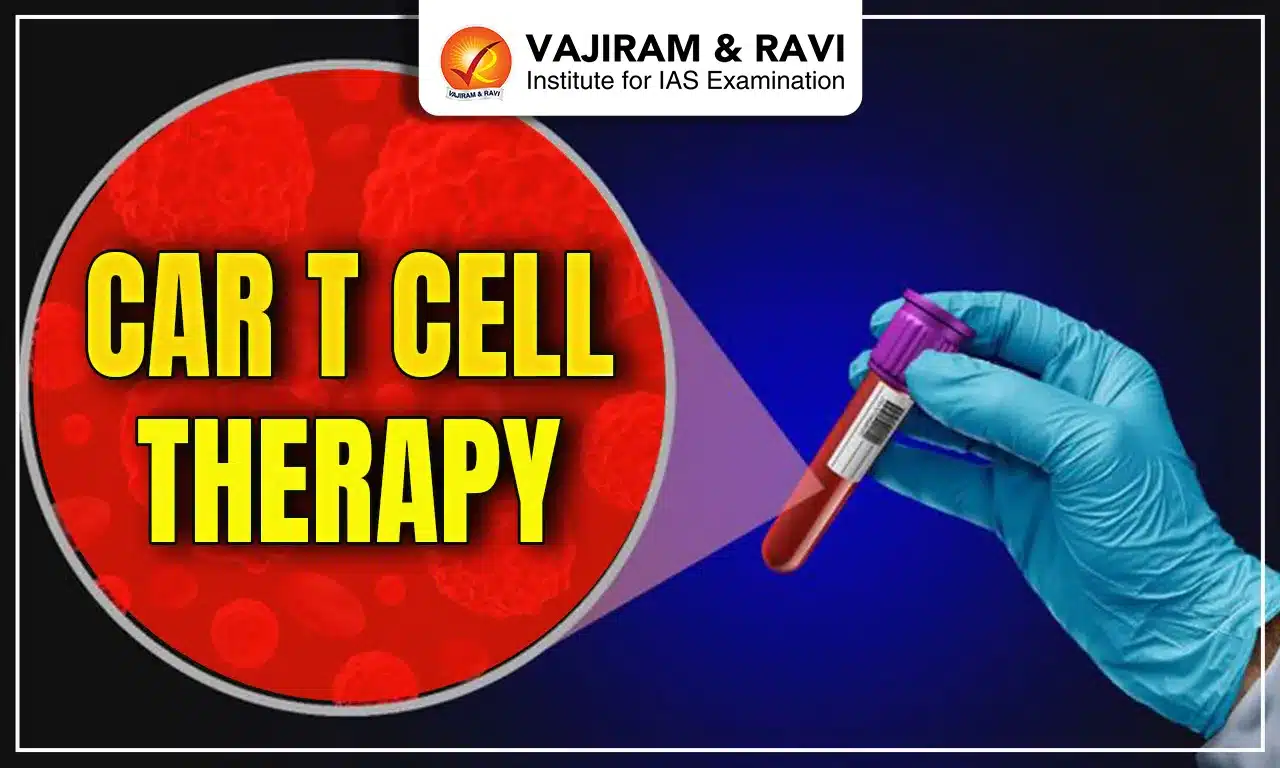 Car T Cell Therapy