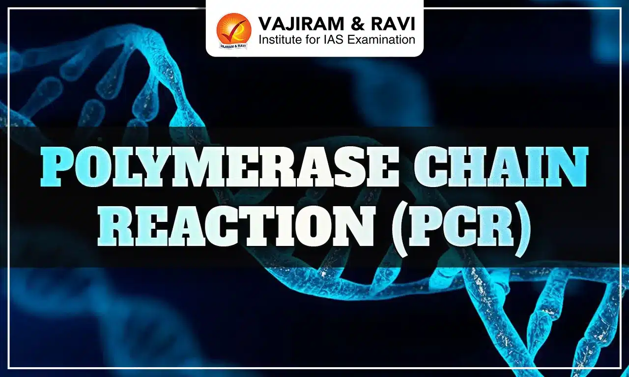 Polymerase Chain Reaction