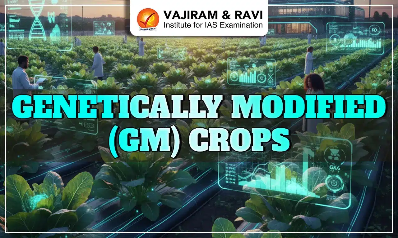 GM (Genetically Modified) Crops