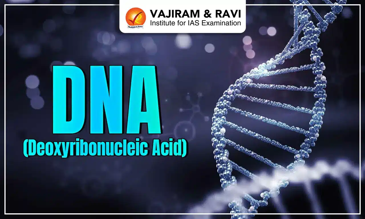 dna (deoxyribonucleic acid)